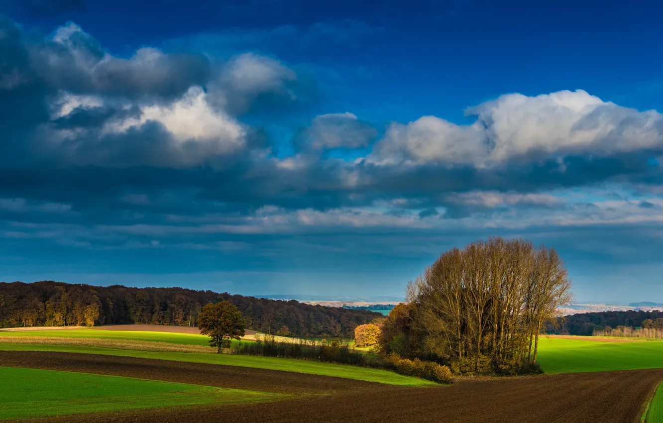 Photo wallpaper field, the sky, the sun, clouds, trees, farm