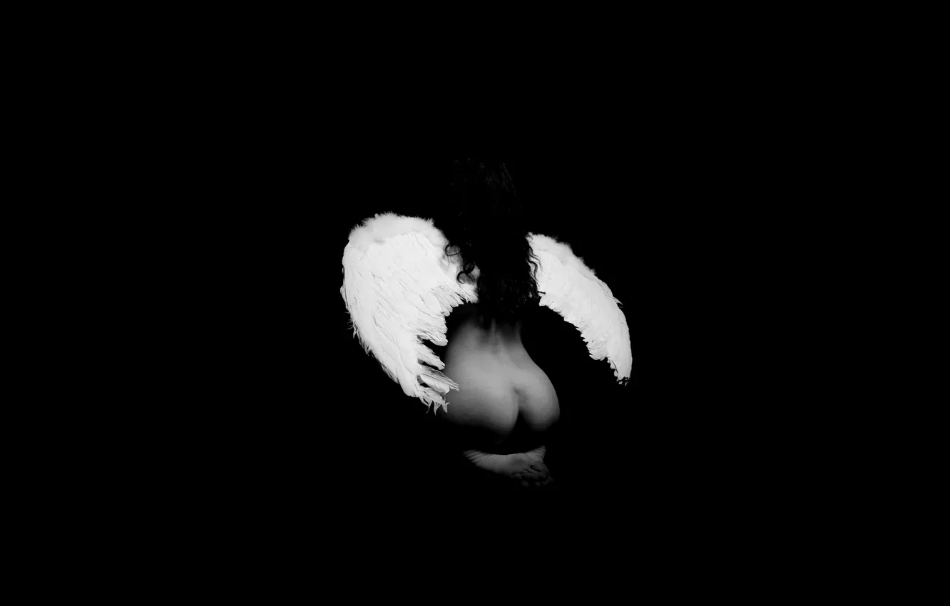 Photo wallpaper background, black, back, wings, white
