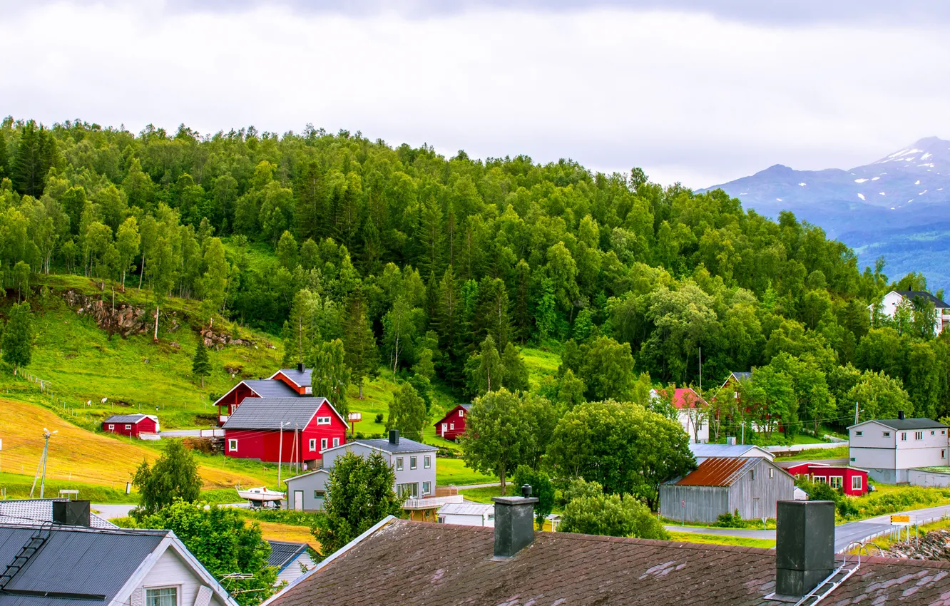 Photo wallpaper roof, the sky, grass, clouds, trees, mountains, home, slope