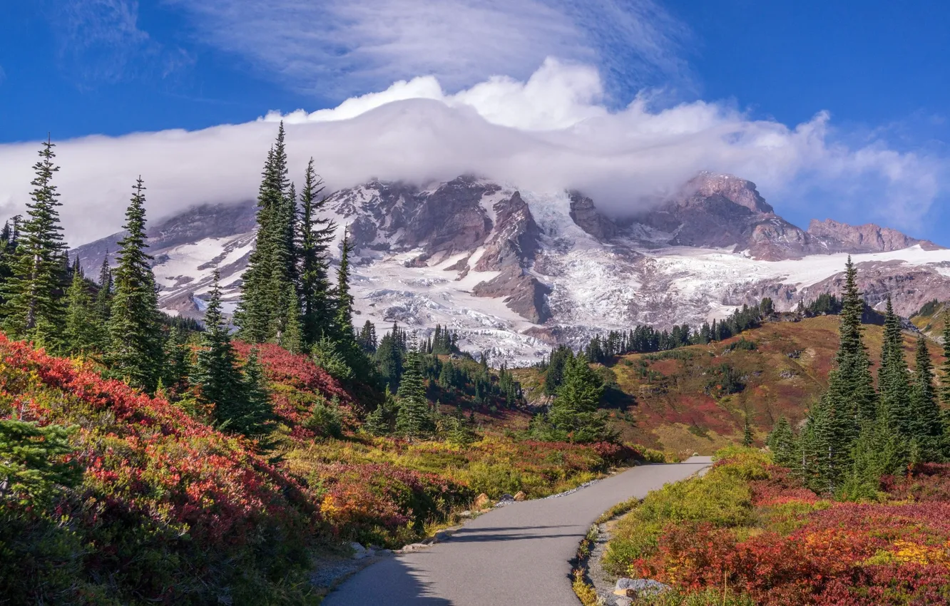 Photo wallpaper road, clouds, landscape, mountains, nature, Mount Rainier National Park