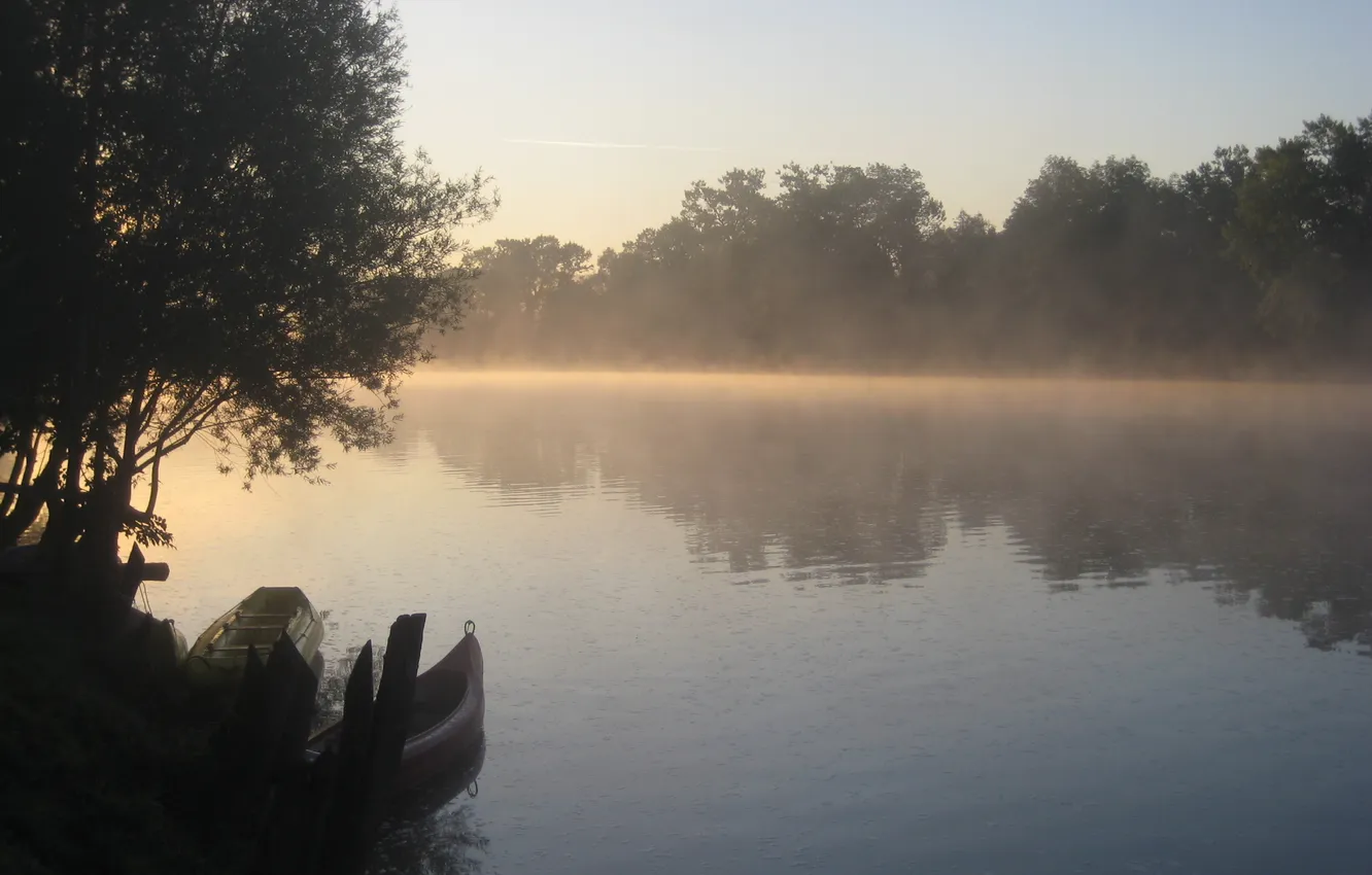 Photo wallpaper forest, fog, river, boat, morning, Slovenia