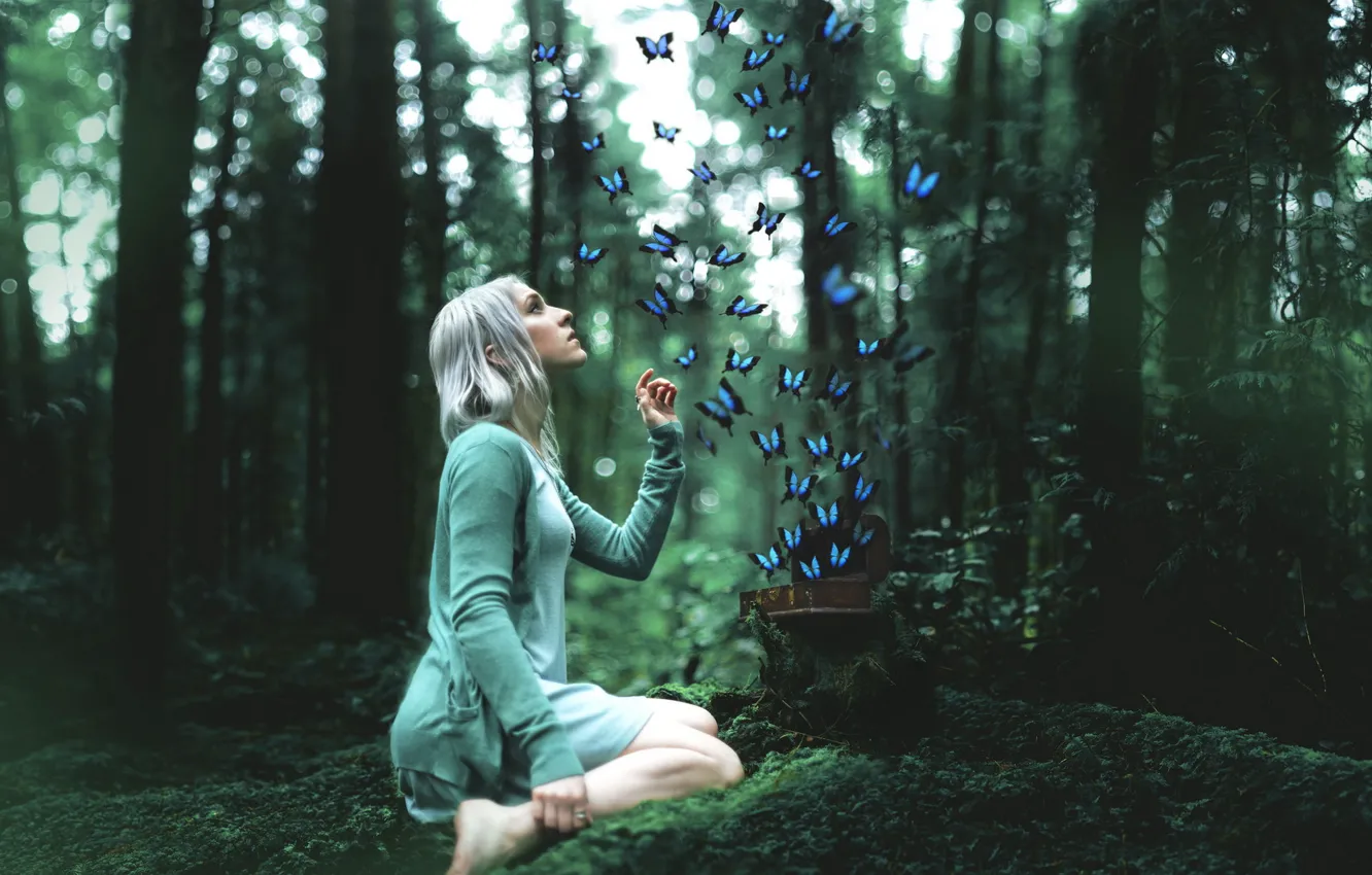 Photo wallpaper forest, girl, butterfly