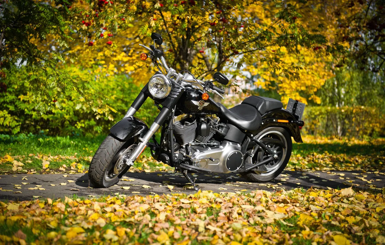 Photo wallpaper autumn, foliage, motorcycle, Harley-Davidson