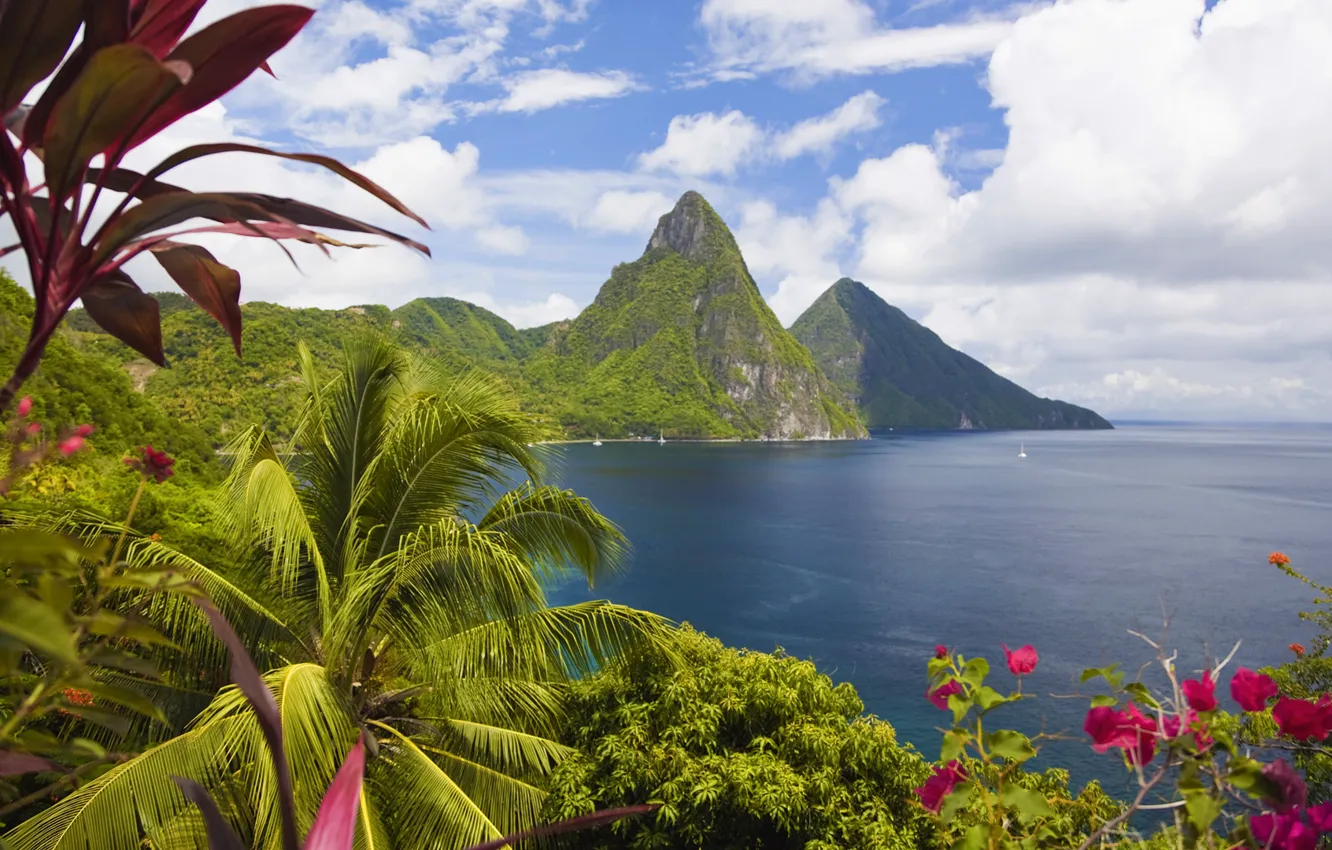 Photo wallpaper mountains, palm trees, the ocean, coast, island, Caribbean