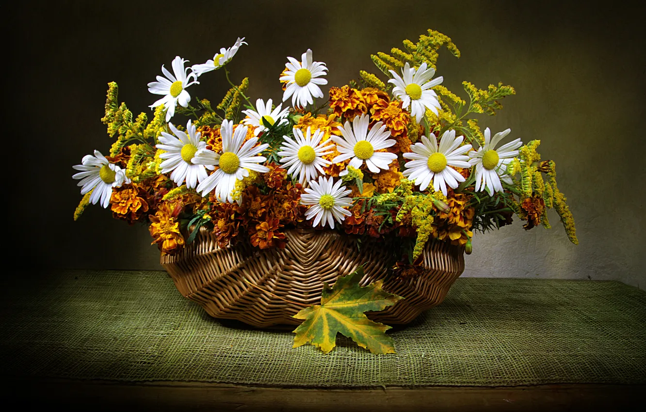 Photo wallpaper flowers, chamomile, bouquet, still life, composition