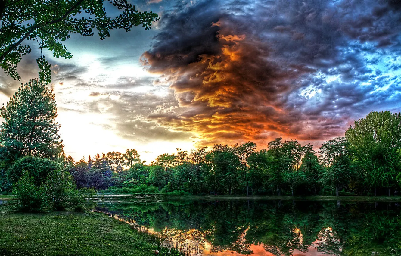 Photo wallpaper forest, the sky, clouds, trees, sunset, clouds, pond, Park