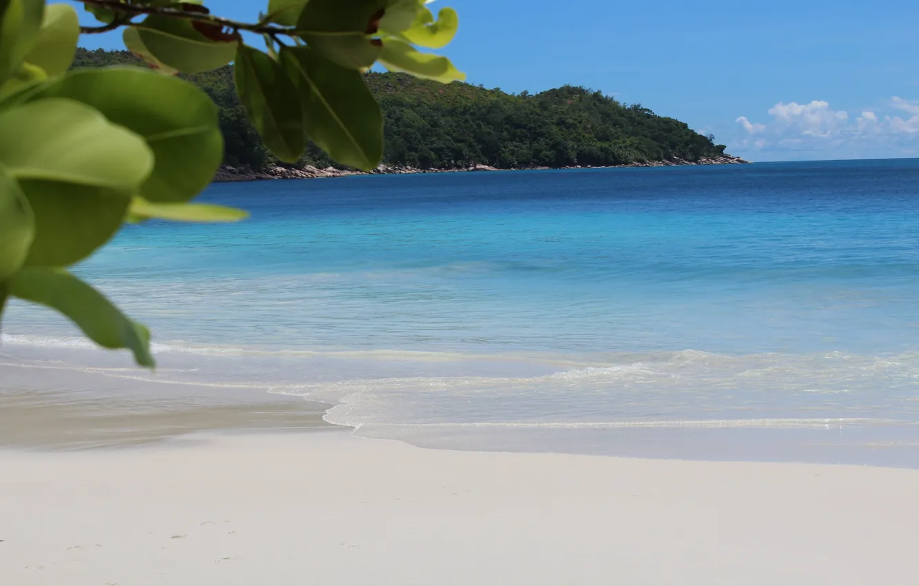 Photo wallpaper sand, sea, beach, palm trees, coast