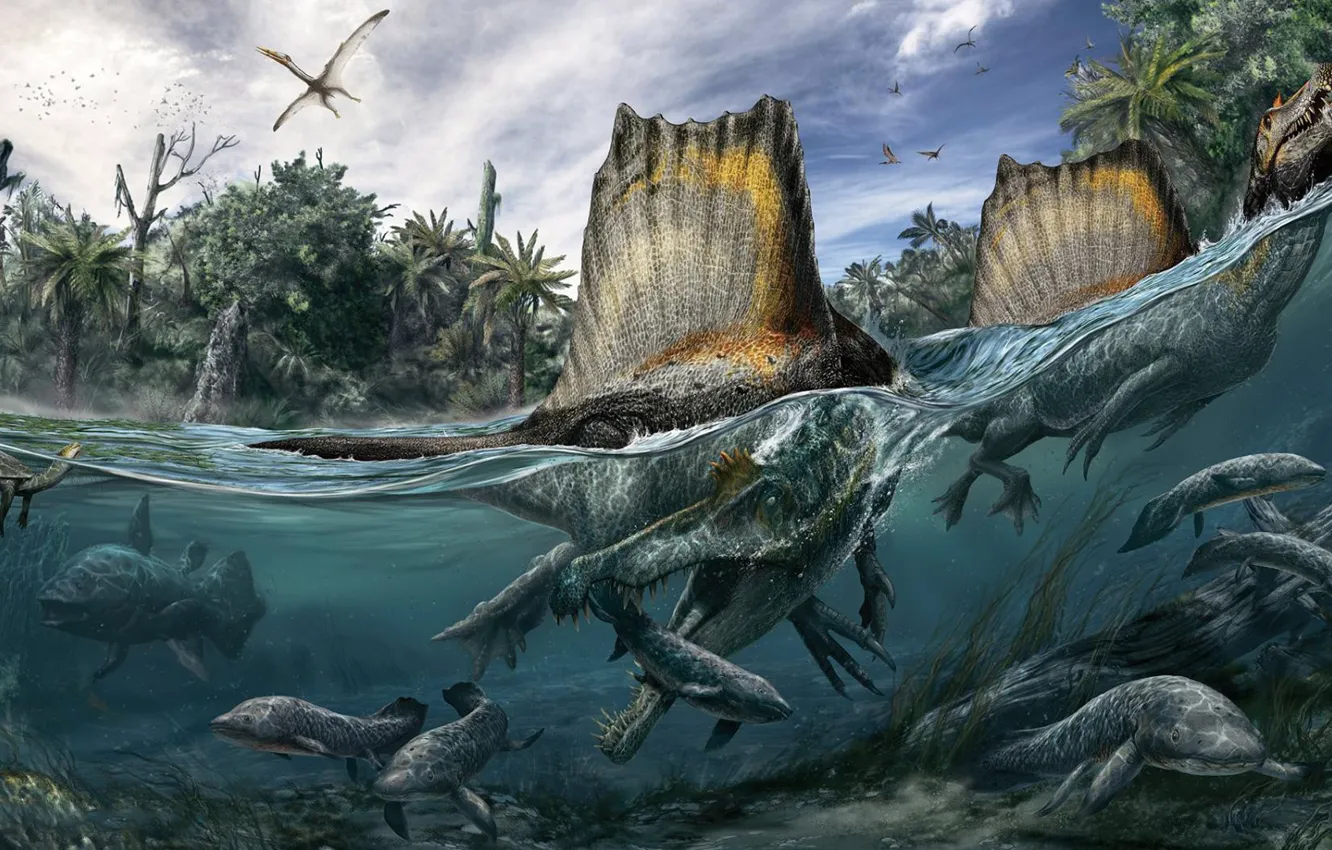 Photo wallpaper Spinosaurus, spiny lizard, The Cretaceous period, Spinosaurus, member of the family spinosaurid