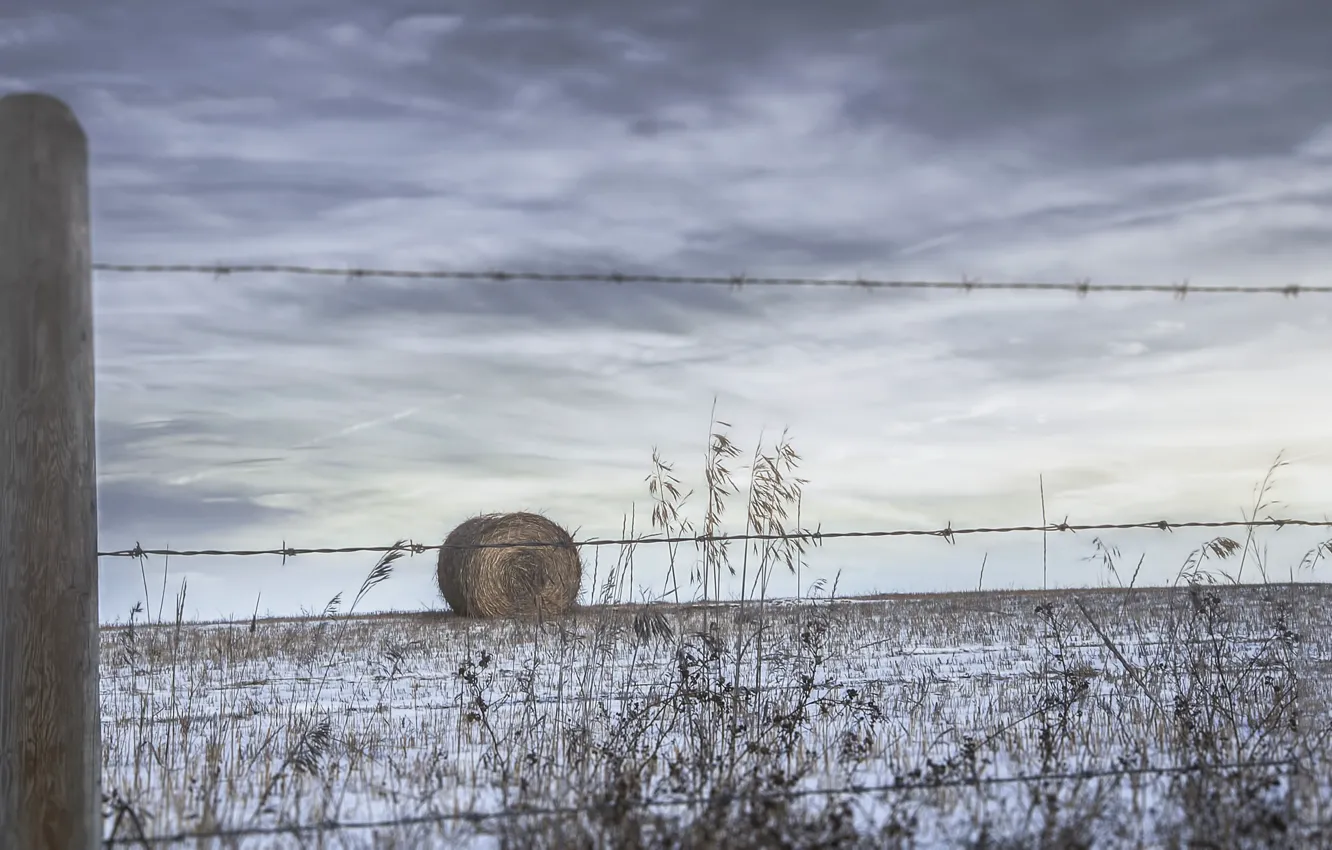Photo wallpaper winter, field, the fence, hay