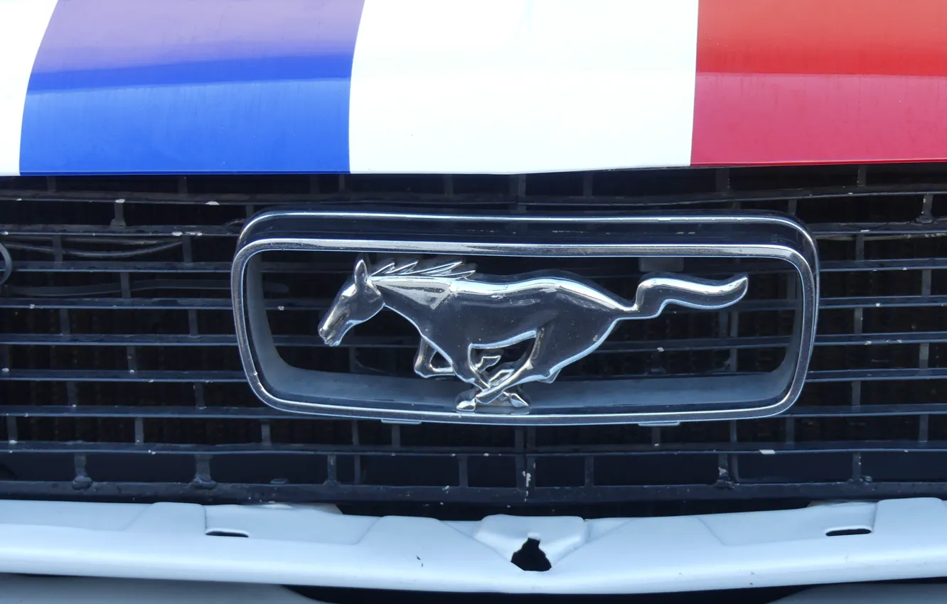 Photo wallpaper mustang, ford, french, castellet