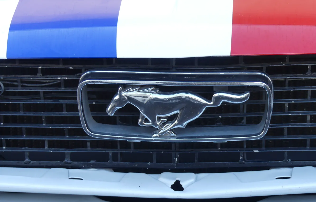 Photo wallpaper Mustang, Ford, french, castellet