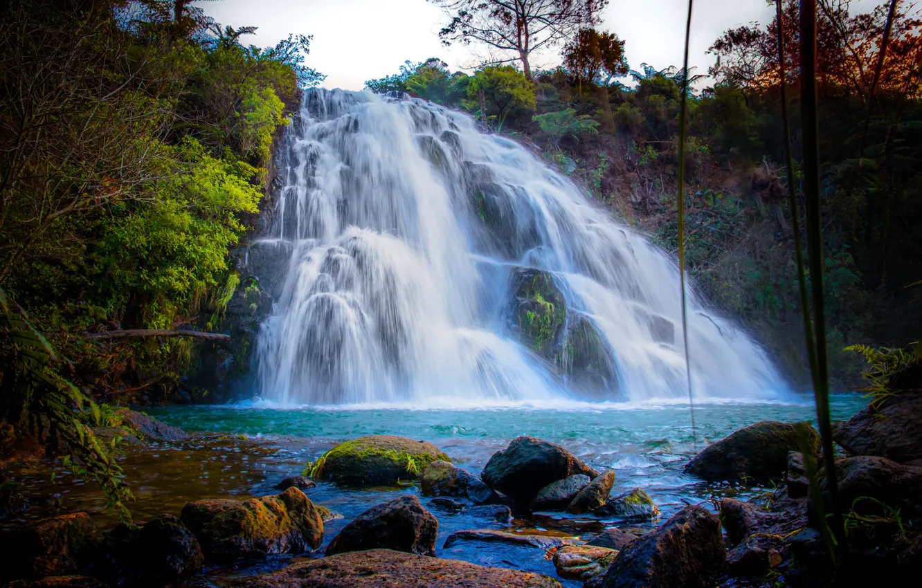 Photo wallpaper forest, trees, stones, waterfall