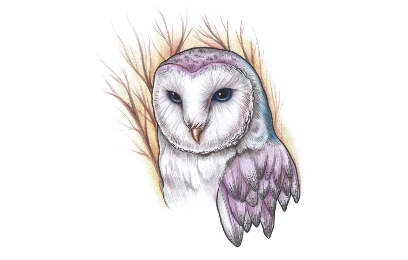 Photo wallpaper branches, owl, bird, painting, owl