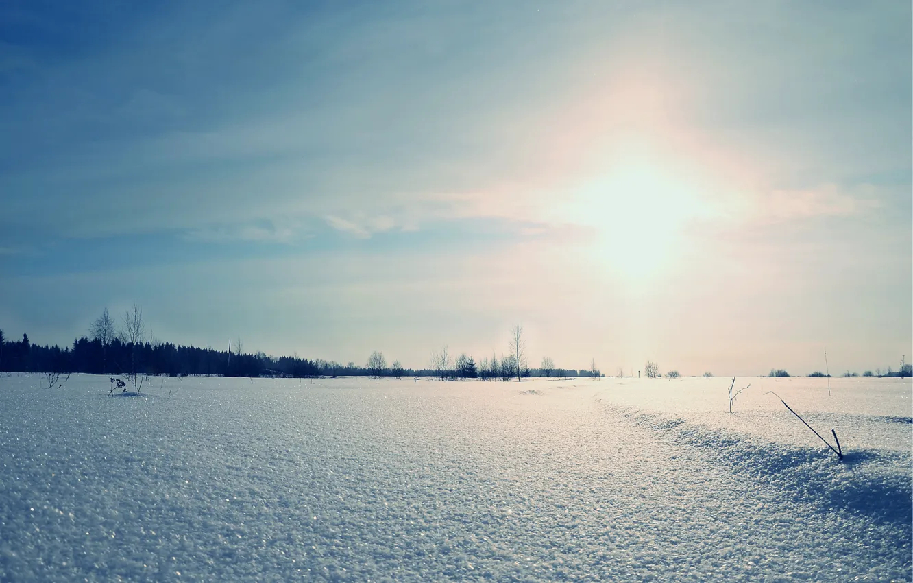 Photo wallpaper winter, field, the sun, snow, landscape, nature, dawn, glitters