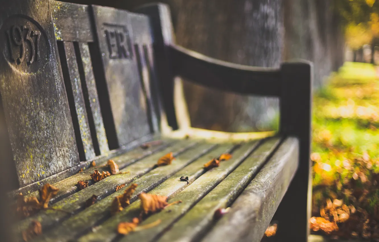 Photo wallpaper autumn, leaves, bench