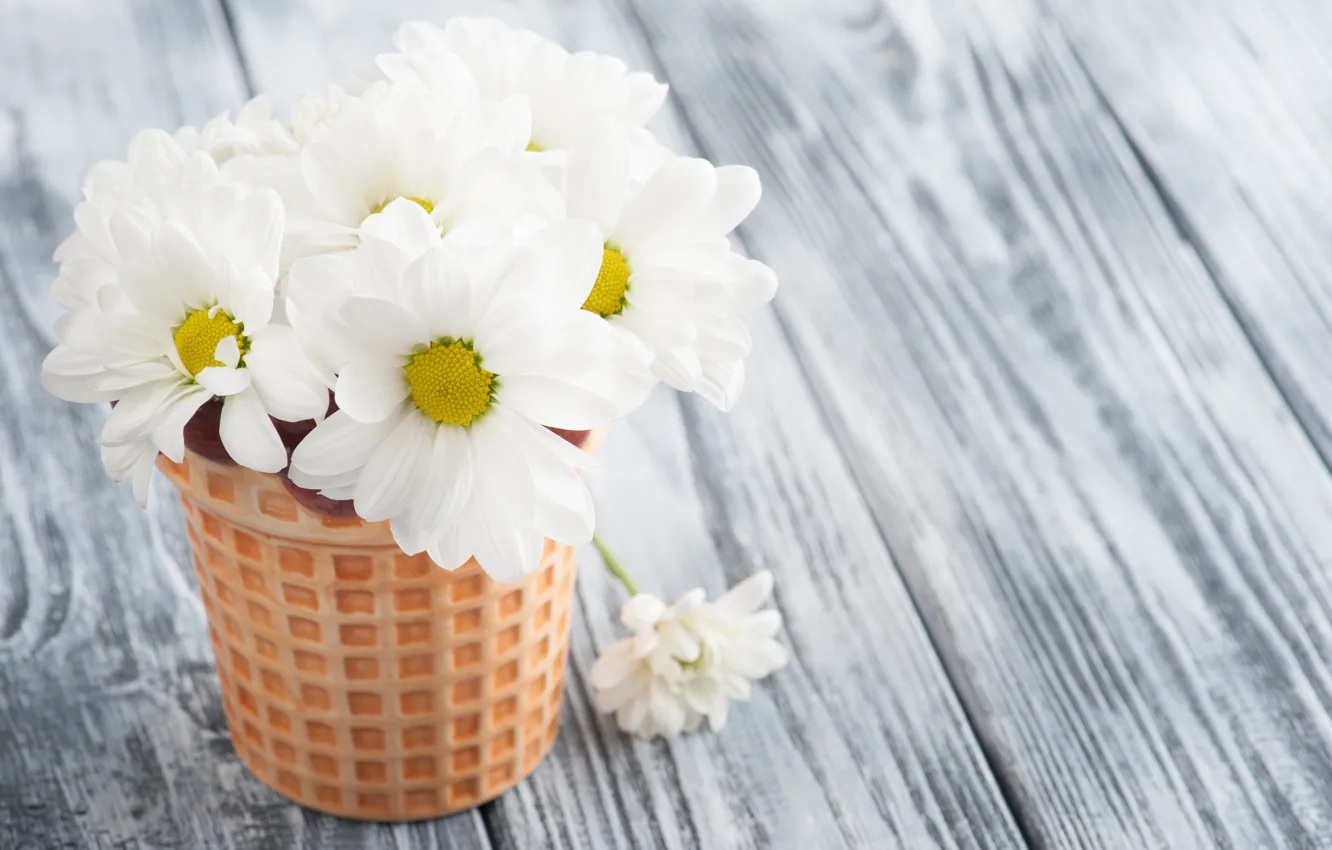 Photo wallpaper flowers, chamomile, bouquet, vase, white, THE OFF