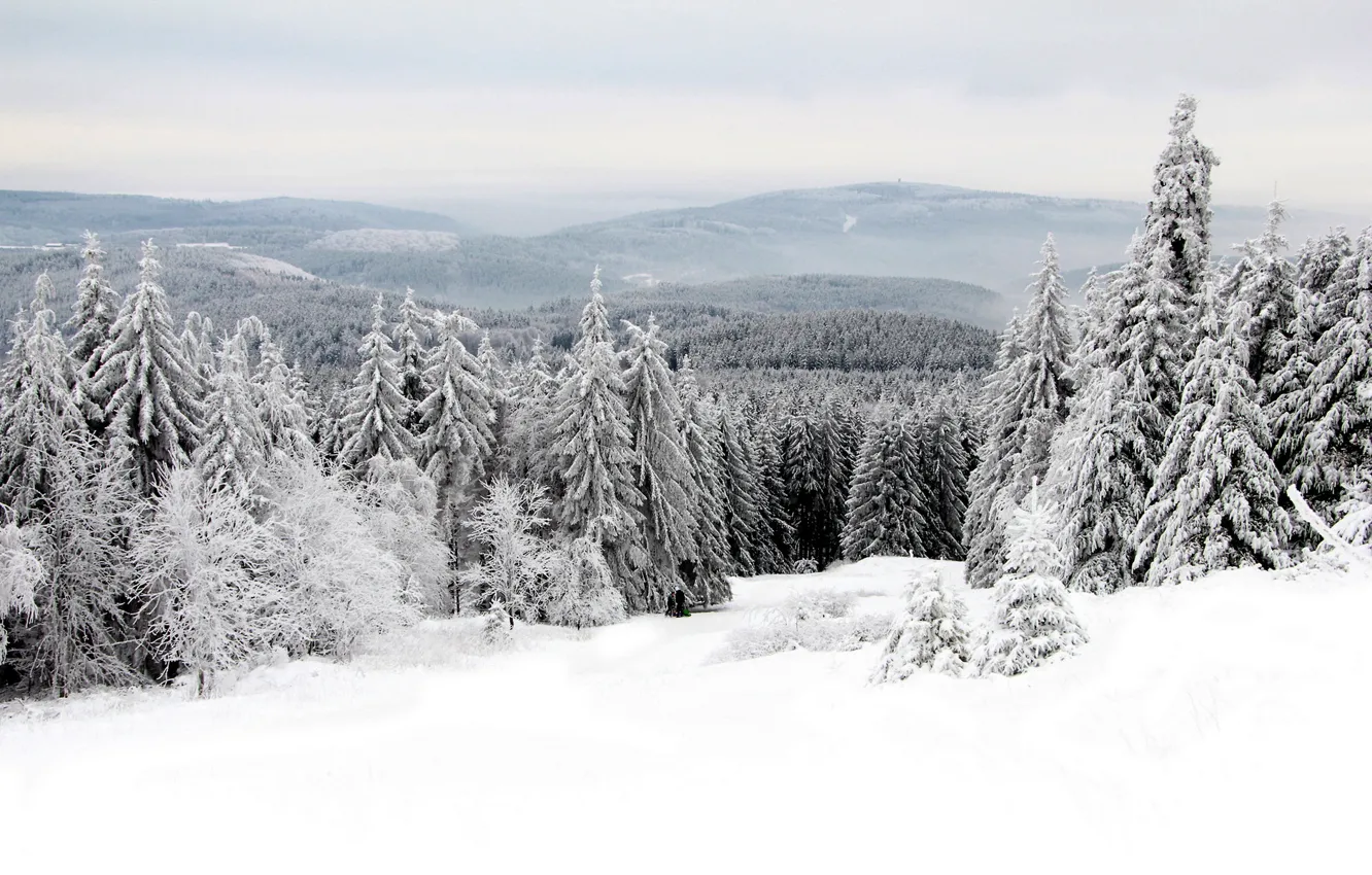 Photo wallpaper winter, snow, landscape
