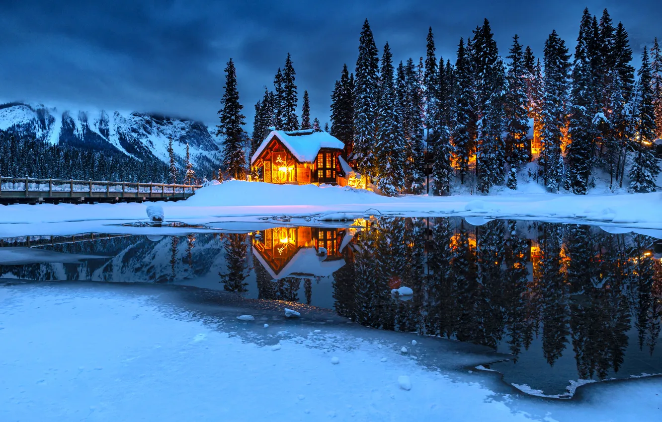 Photo wallpaper winter, forest, light, snow, mountains, night, bridge, lights