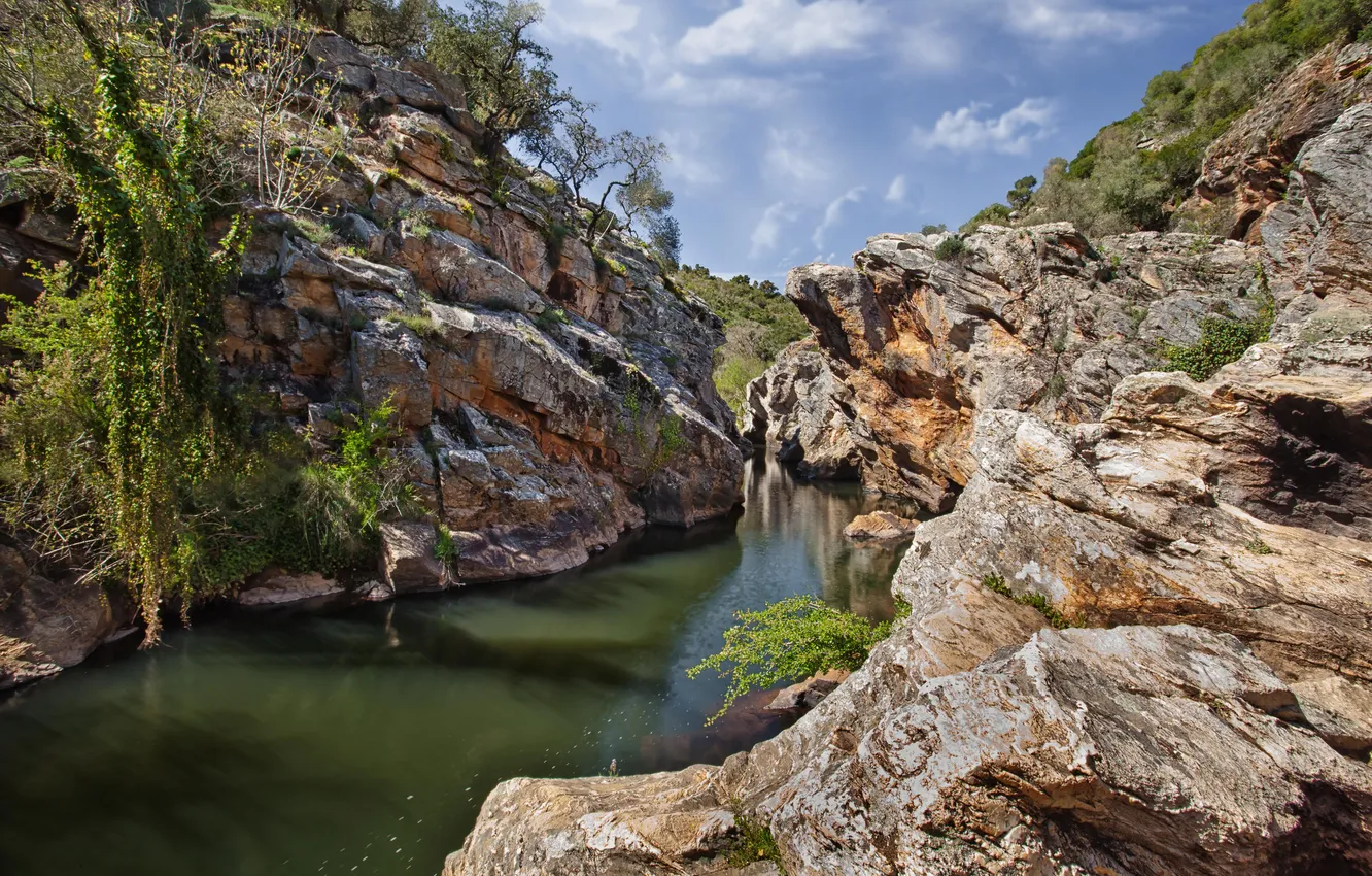 Photo wallpaper trees, river, stones, canyon