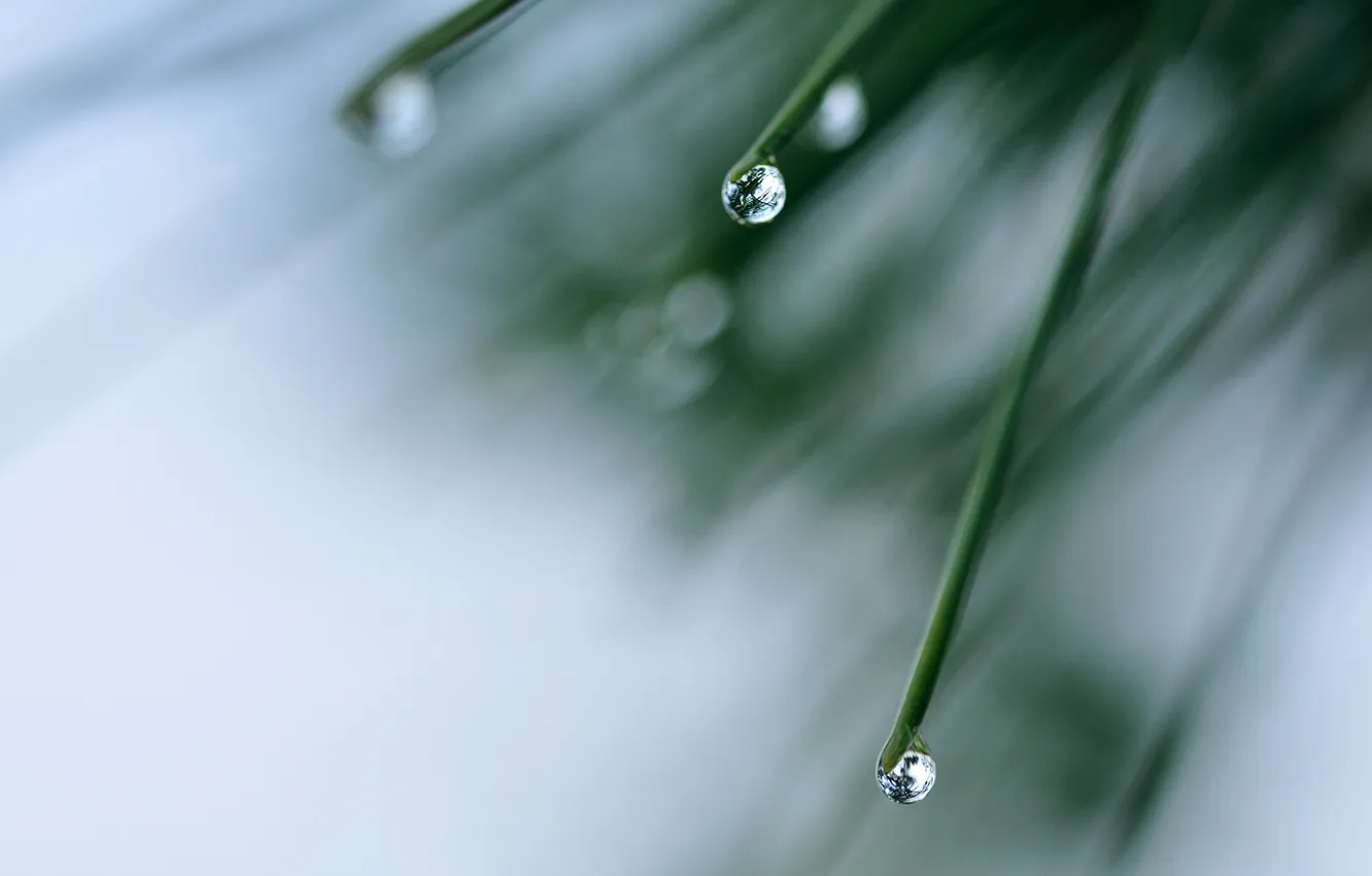 Photo wallpaper water, drops, macro, reflection
