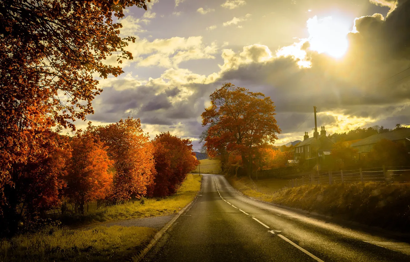 Photo wallpaper road, autumn, sunset