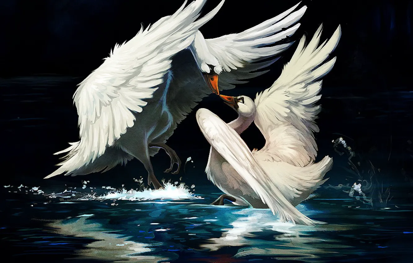 Photo wallpaper figure, 158, swans