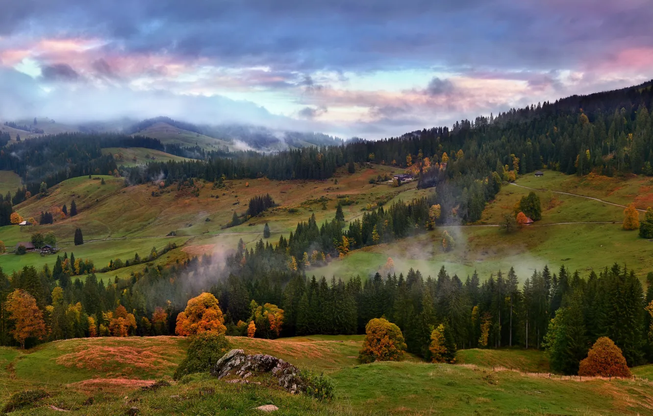 Photo wallpaper autumn, forest, mountains, fog, hills, the slopes, Alps