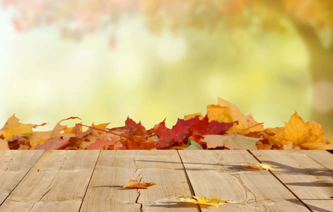 Photo wallpaper autumn, leaves, maple, wood, blur