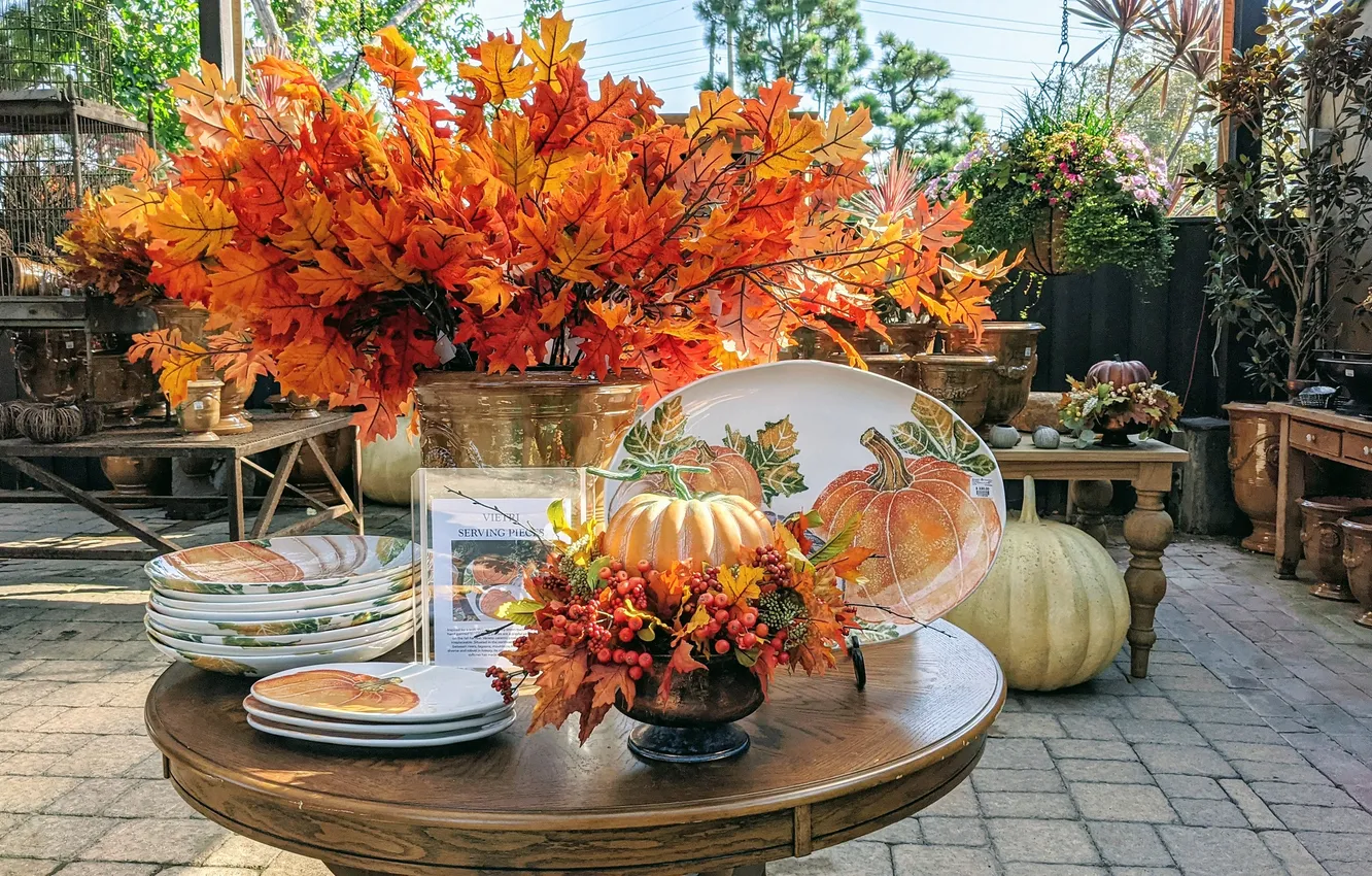 Photo wallpaper autumn, plate, dishes