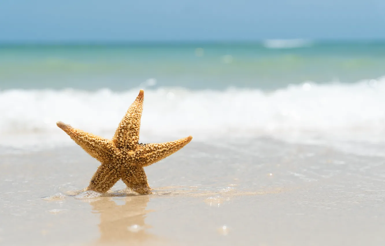 Photo wallpaper sand, sea, wave, beach, summer, shore, star, summer