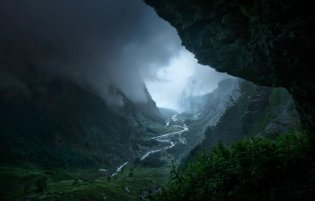 Photo wallpaper trees, mountains, nature, fog, river, rocks, gorge