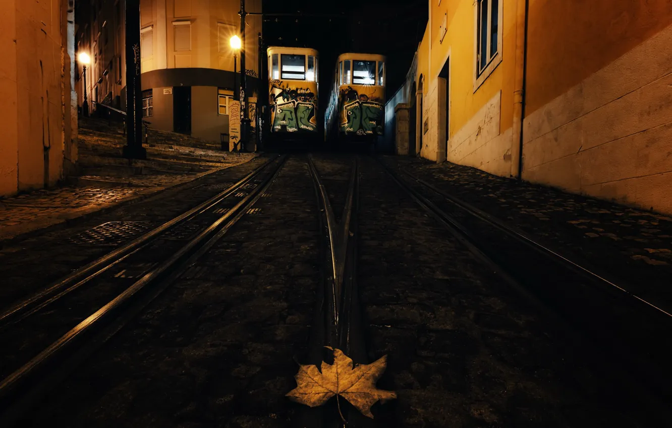 Photo wallpaper Portugal, Lisbon, Saint Joseph