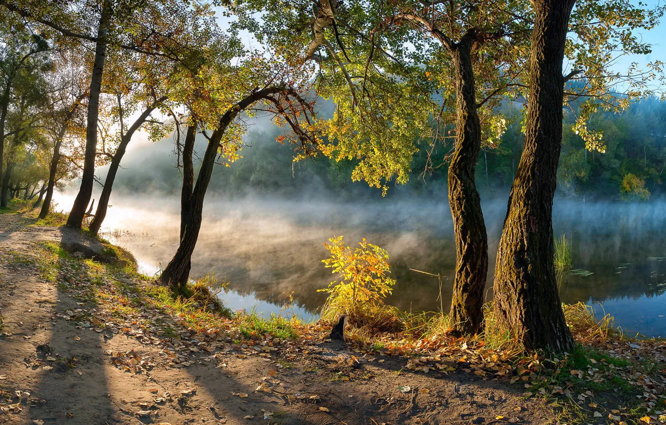 Photo wallpaper autumn, leaves, trees, river, morning, Ukraine, Donbass, Seversky Donets