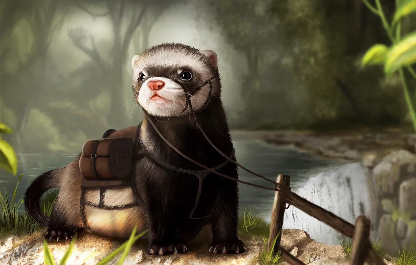 Photo wallpaper background, muzzle, otter