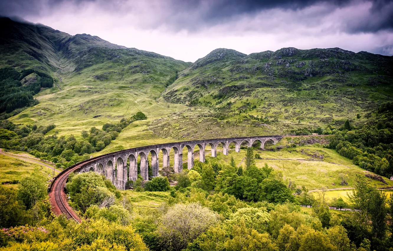 Wallpaper greens, trees, landscape, bridge, nature, Scotland, viaduct ...