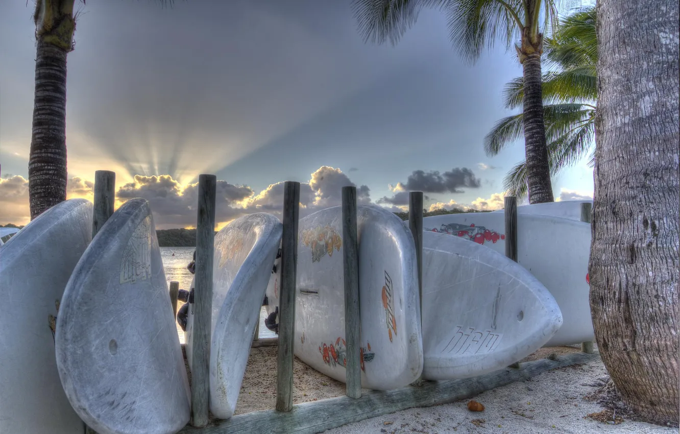 Photo wallpaper beach, summer, palm trees, sport, surfboards