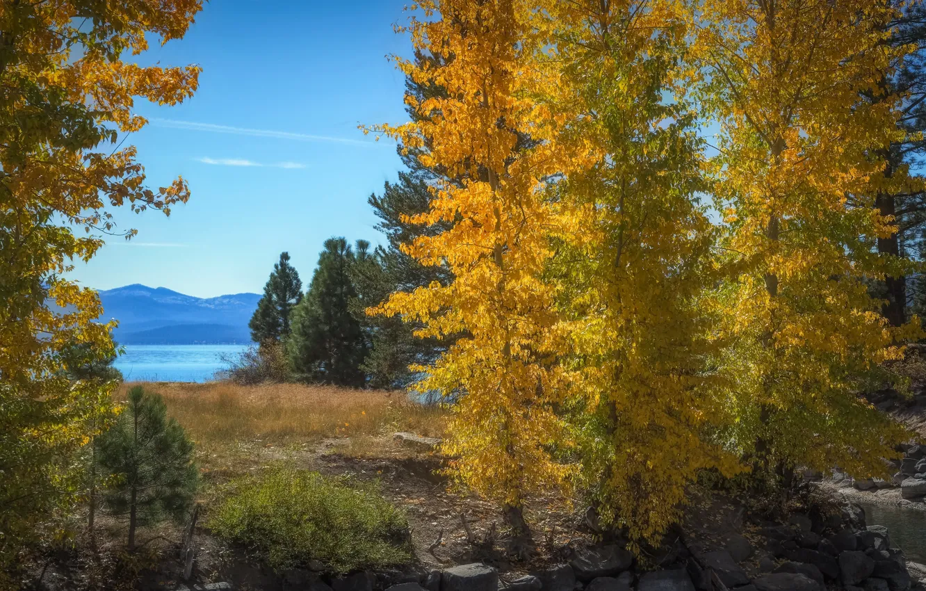 Photo wallpaper autumn, forest, the sky, light, trees, mountains, yellow, blue