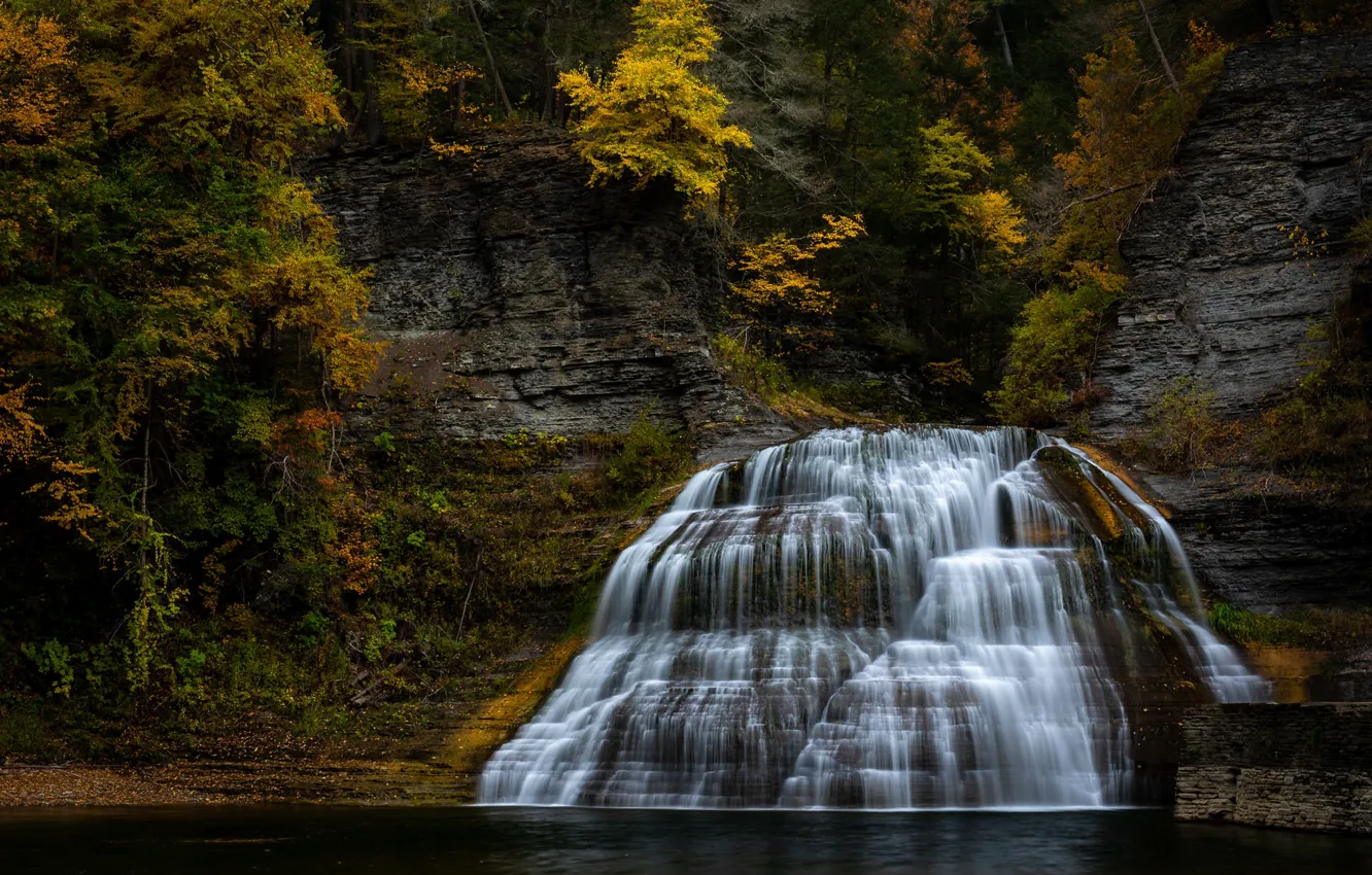 Photo wallpaper autumn, forest, rocks, shore, vegetation, foliage, waterfall, cascade