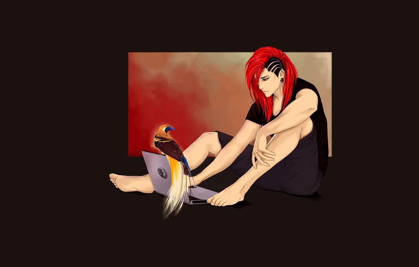 Photo wallpaper parrot, laptop, guy