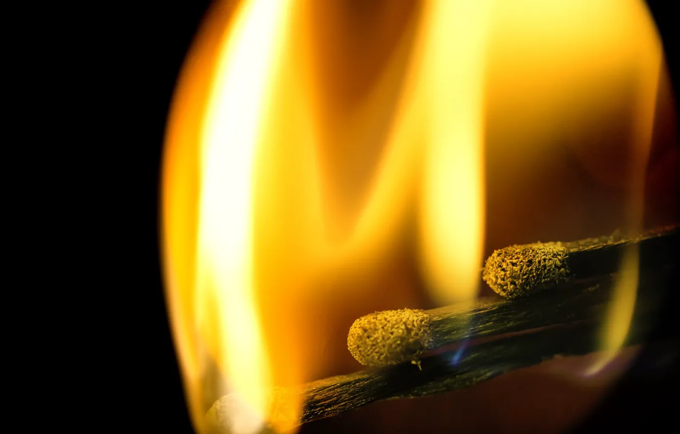 Photo wallpaper macro, lights, spichki