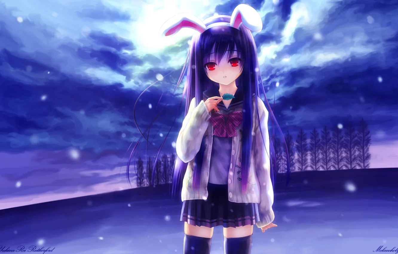 Photo wallpaper forest, the sky, girl, clouds, snow, anime, ears, Touhou