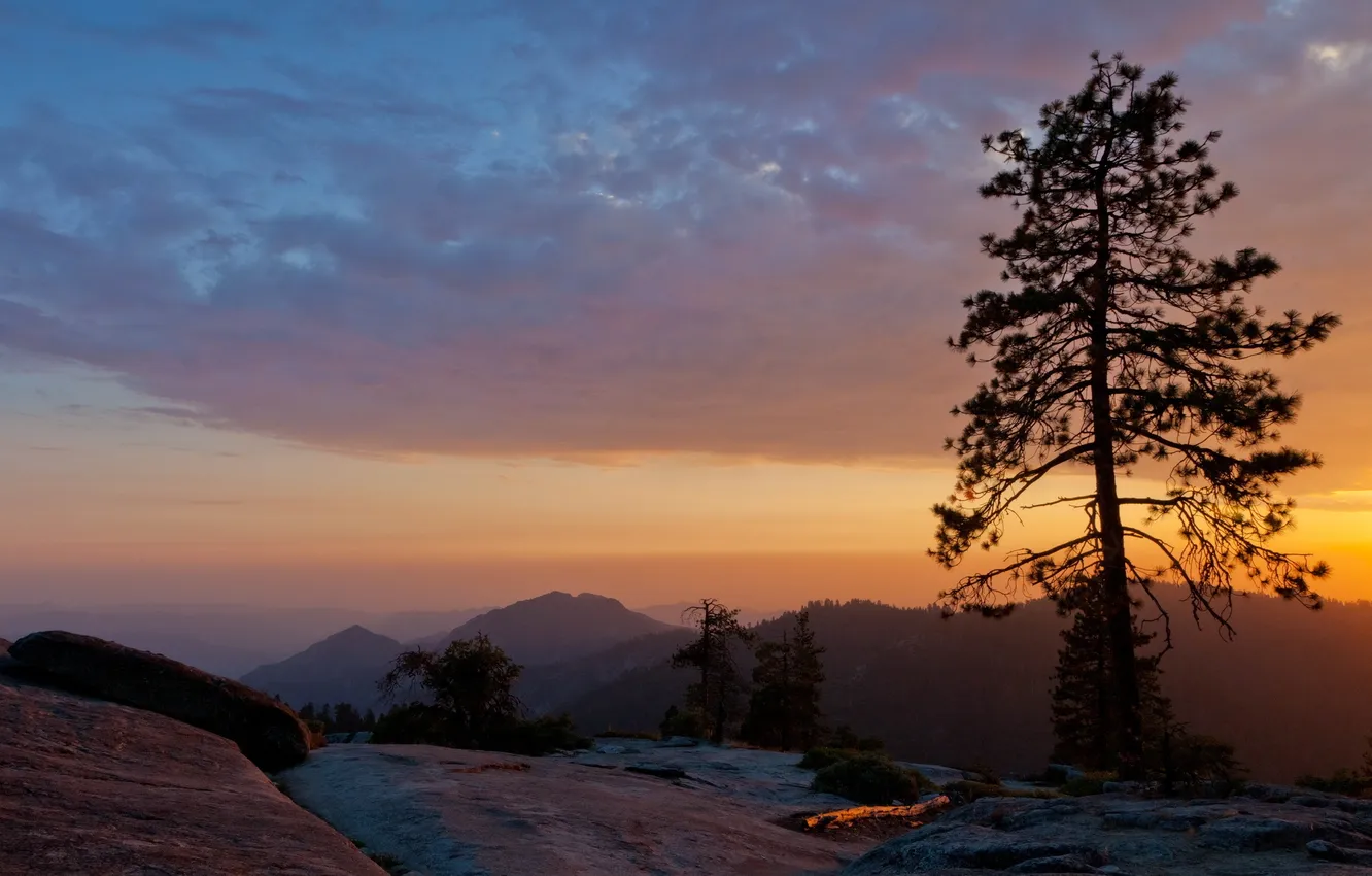 Photo wallpaper trees, landscape, mountains, night, nature