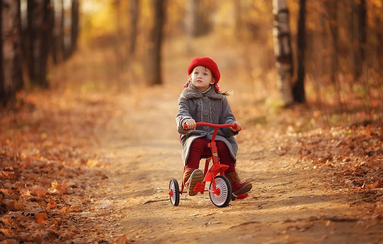 Photo wallpaper autumn, look, light, trees, red, nature, bike, children