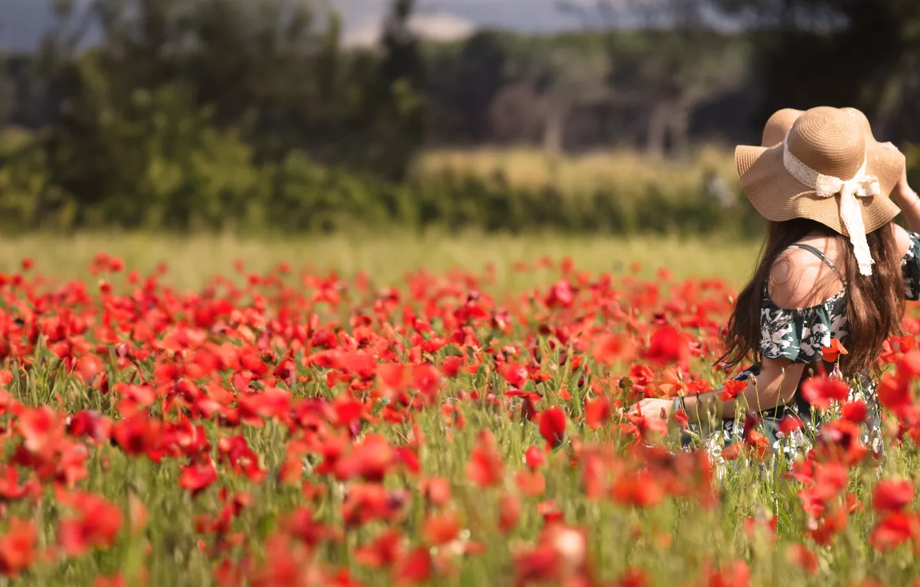 Photo wallpaper girl, Maki, hat, poppy field