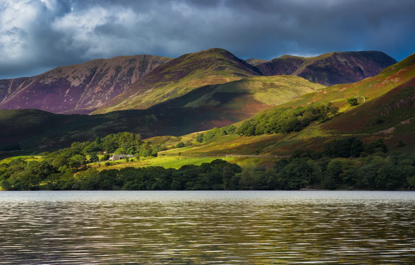 Photo wallpaper forest, clouds, light, trees, mountains, clouds, lake, river