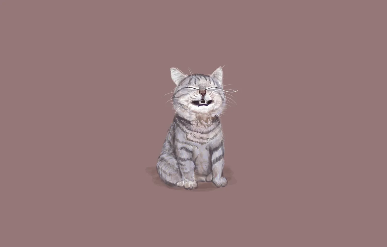 Photo wallpaper cat, cat, minimalism, sitting, funny face