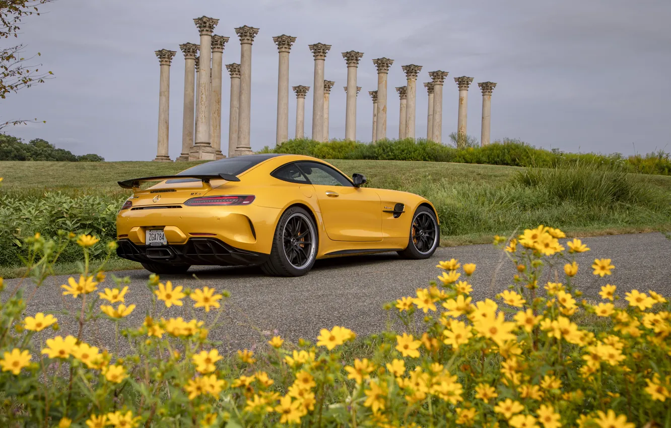 Photo wallpaper Mercedes-Benz, rear view, AMG, GT R, 2020