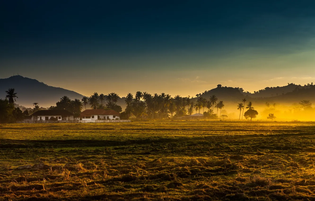 Photo wallpaper field, landscape, fog, morning