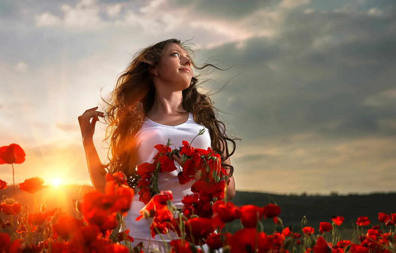 Photo wallpaper woman, sunset, flower field
