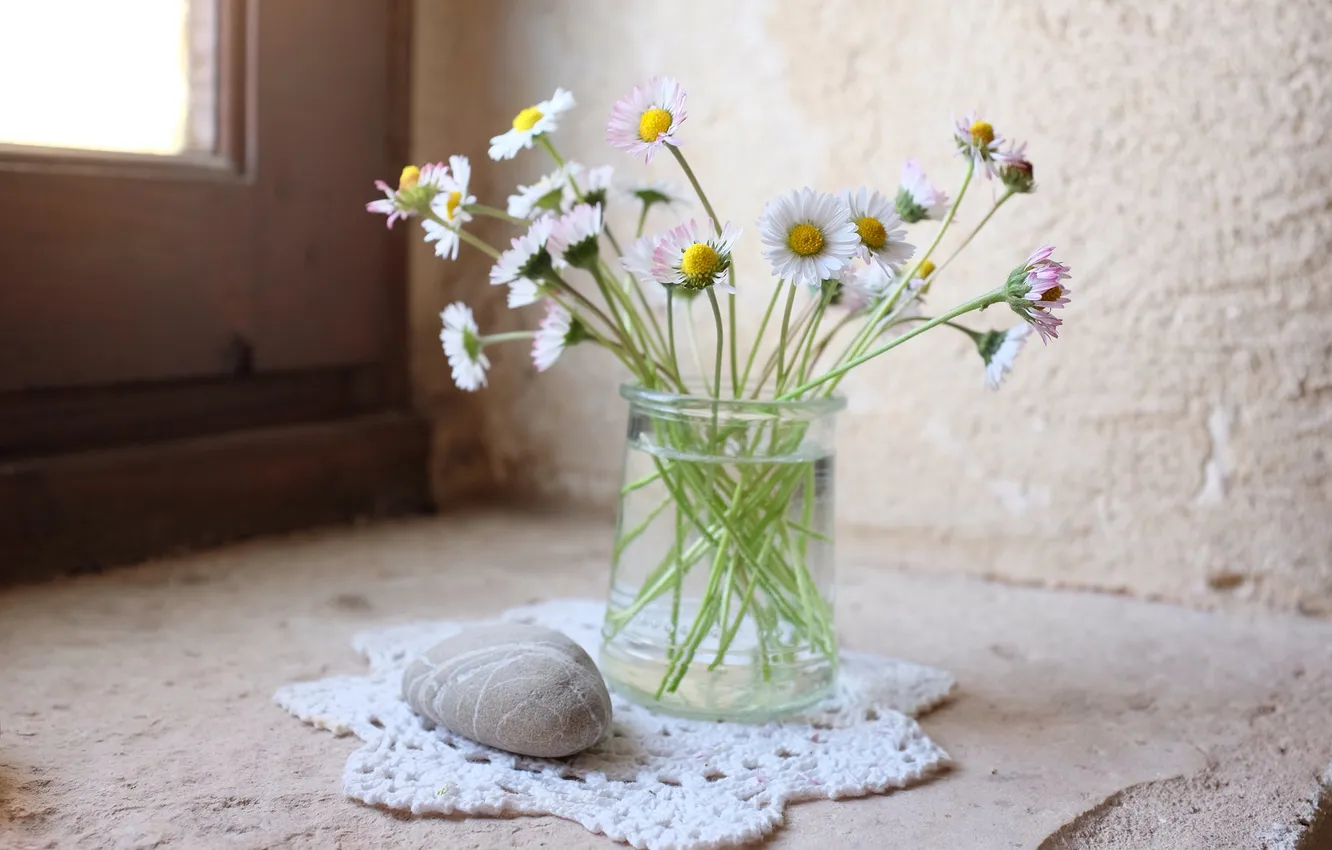 Photo wallpaper flowers, vase, stone, Daisy